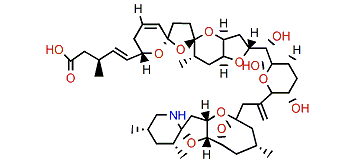 22-Desmethyl-23-hydroxy-azaspiracid